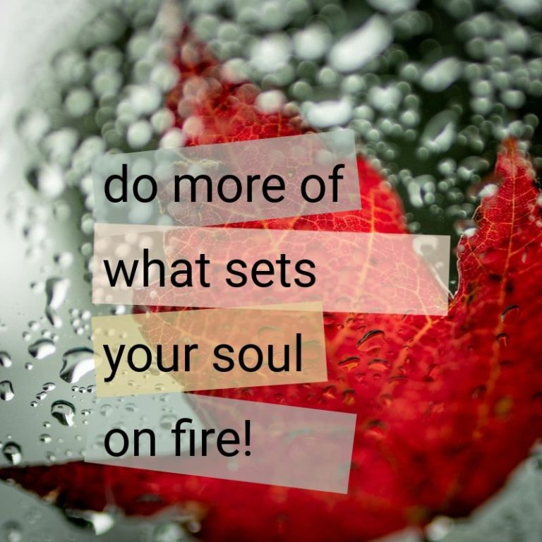 do more of what sets your soul on fire