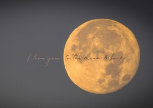 full moon with quote, i love you to the moon