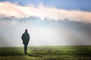 fog, dawn, landscape