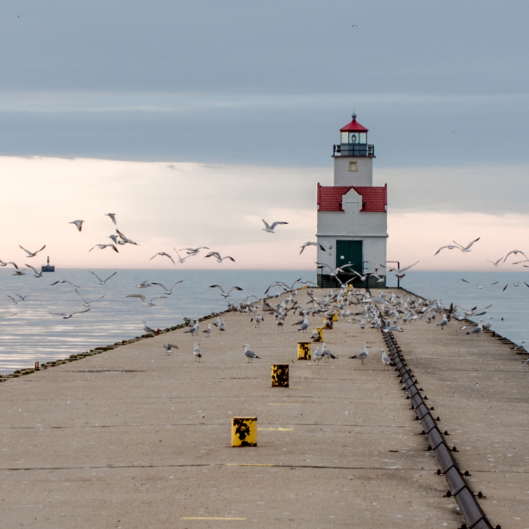 photo of a lighhouse point with seagulls flying from the pier