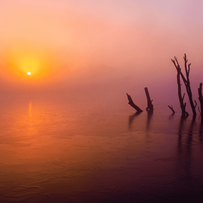 sunrise, fog, lake golden hour