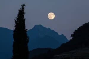 full moon, cypress, mountains