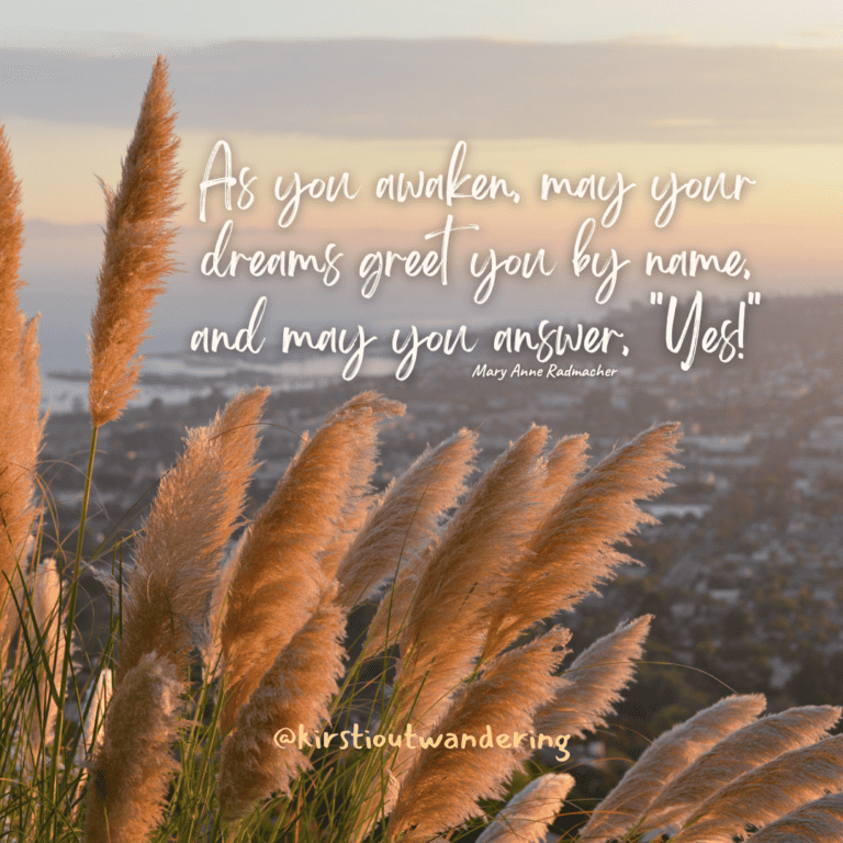Mary Anne Radmacher "As you awaken, may your dreams greet you by name, and may you answer, "Yes!""