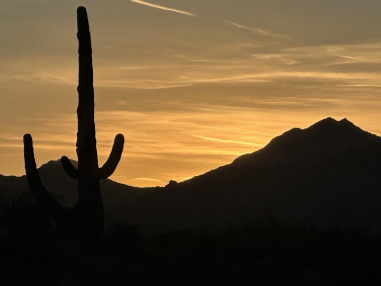 sunrise on the Sonoran Desert