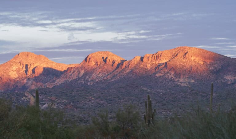 Sonoran desert Sunrise